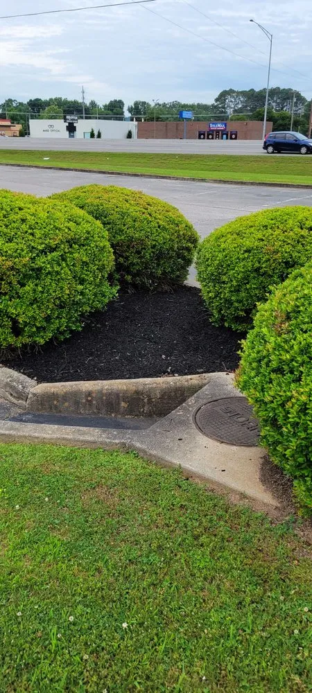 Professional landscape design near you in Tuscumbia, AL by Fresh Look Lawn Care