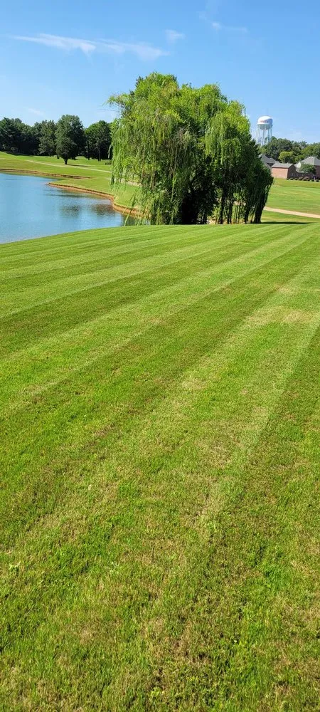 Expert lawn care service experts serving Tuscumbia, AL - Fresh Look Lawn Care