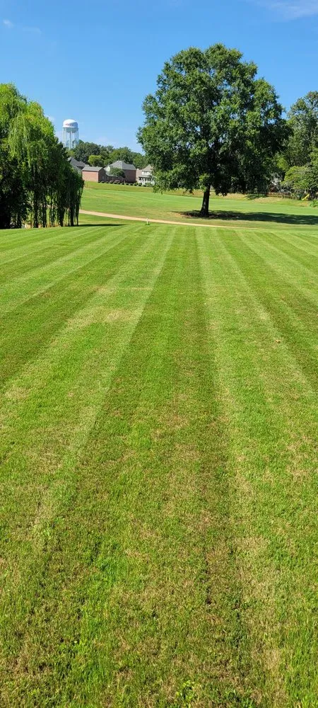 Reliable yard cleanup service experts serving Tuscumbia, AL - Fresh Look Lawn Care