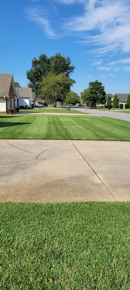 Affordable yard maintenance in Tuscumbia, AL by Fresh Look Lawn Care