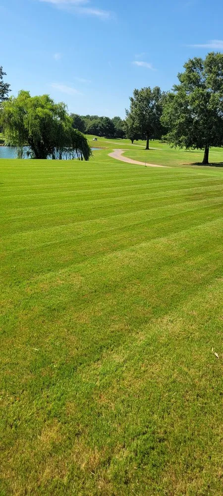 Custom lawn mowing service in Tuscumbia, AL - Fresh Look Lawn Care