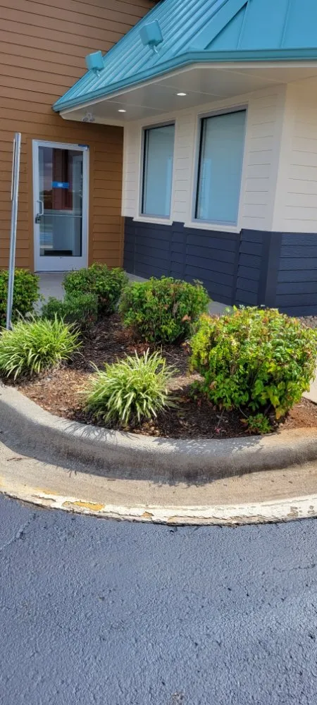 Top-rated lawn care service for year-round maintenance across Tuscumbia, AL - Fresh Look Lawn Care