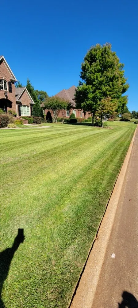 Reliable landscape design in Tuscumbia, AL by Fresh Look Lawn Care