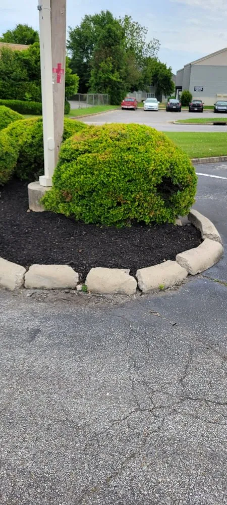 Local lawn care service for homes across Tuscumbia, AL - Fresh Look Lawn Care