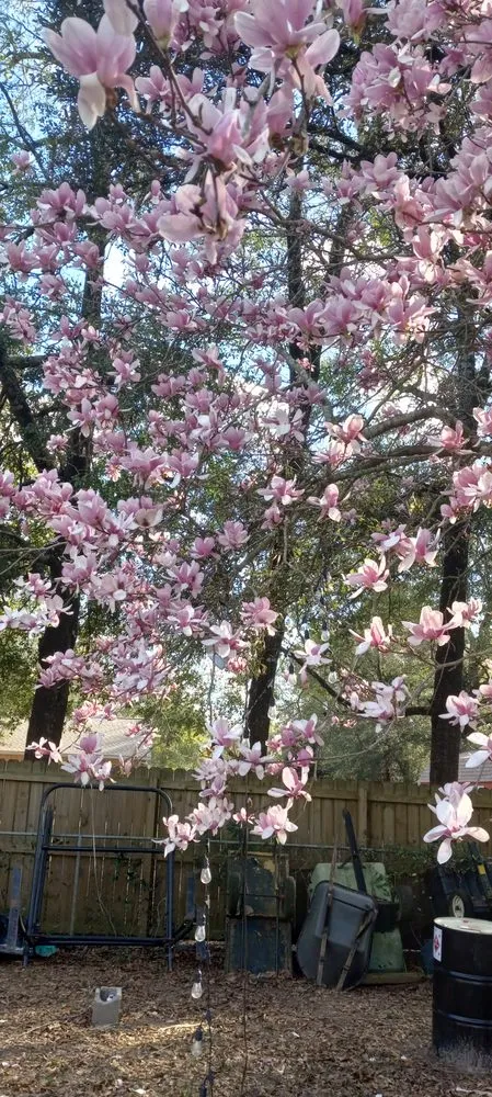 Top-rated outdoor landscaping in Milton, FL by Fresh Looks Landscaping