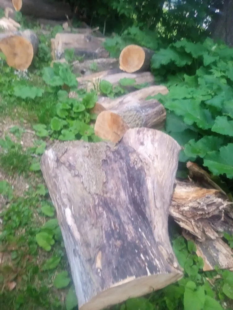 Reliable landscape design in Sterling, IL by Fresh Looks