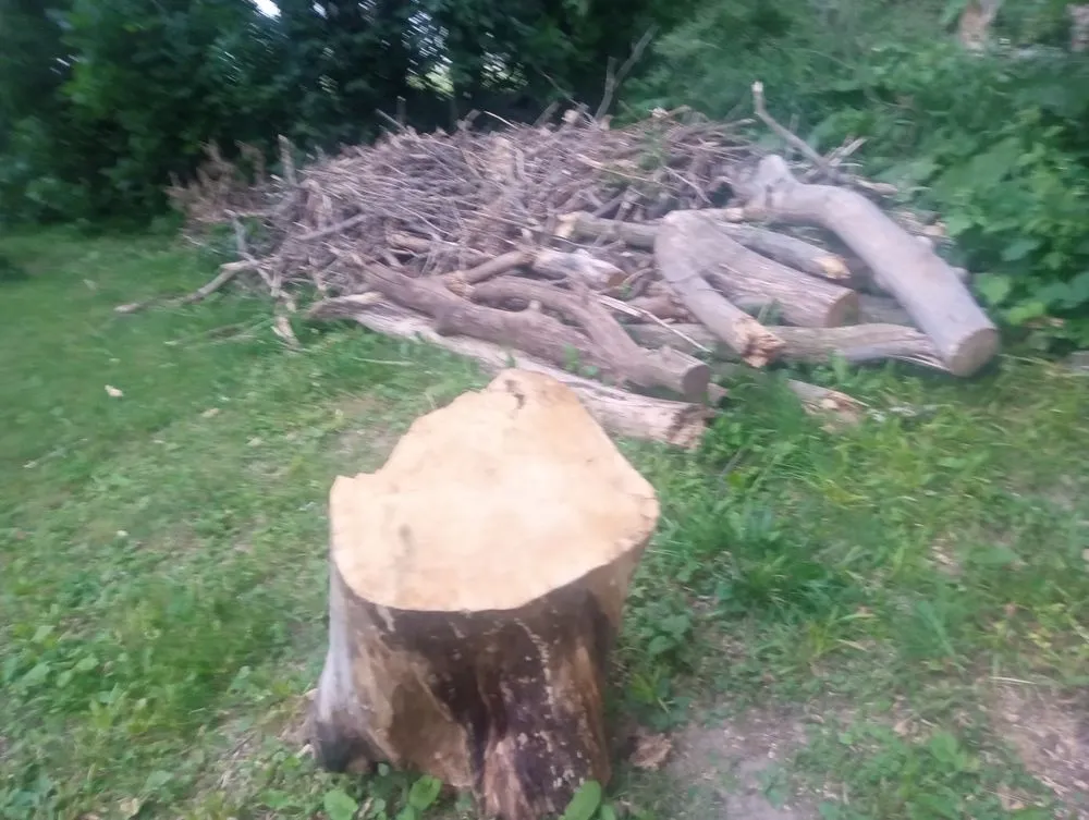 Affordable outdoor landscaping with custom design in Sterling, IL by Fresh Looks