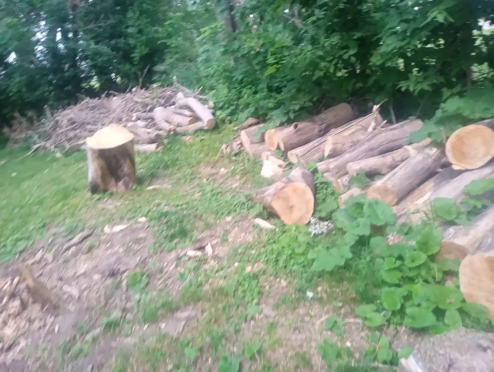 Trusted landscaping services for beautiful yards across Sterling, IL - Fresh Looks