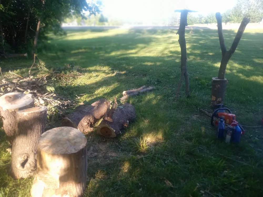 Custom landscape installation experts serving Sterling, IL - Fresh Looks