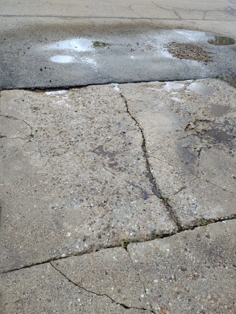 Custom lawn care service experts serving Sterling, IL - Fresh Looks