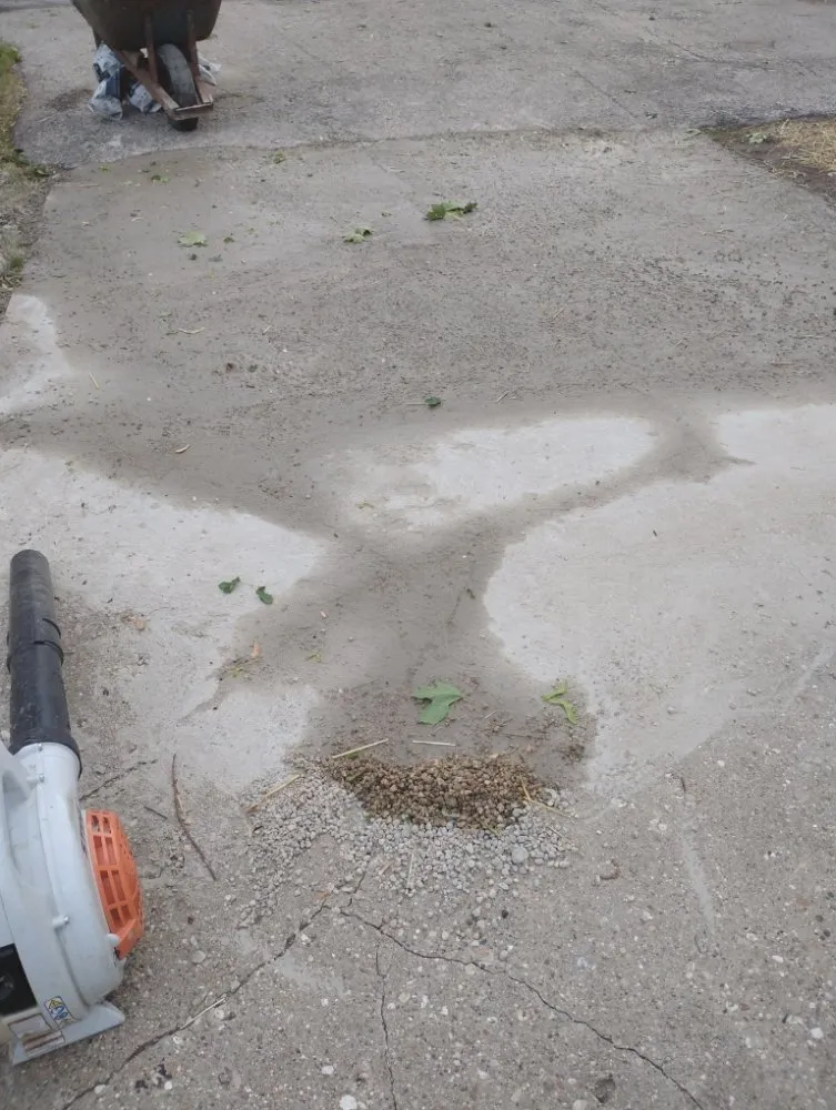 Top-rated landscape installation in Sterling, IL by Fresh Looks