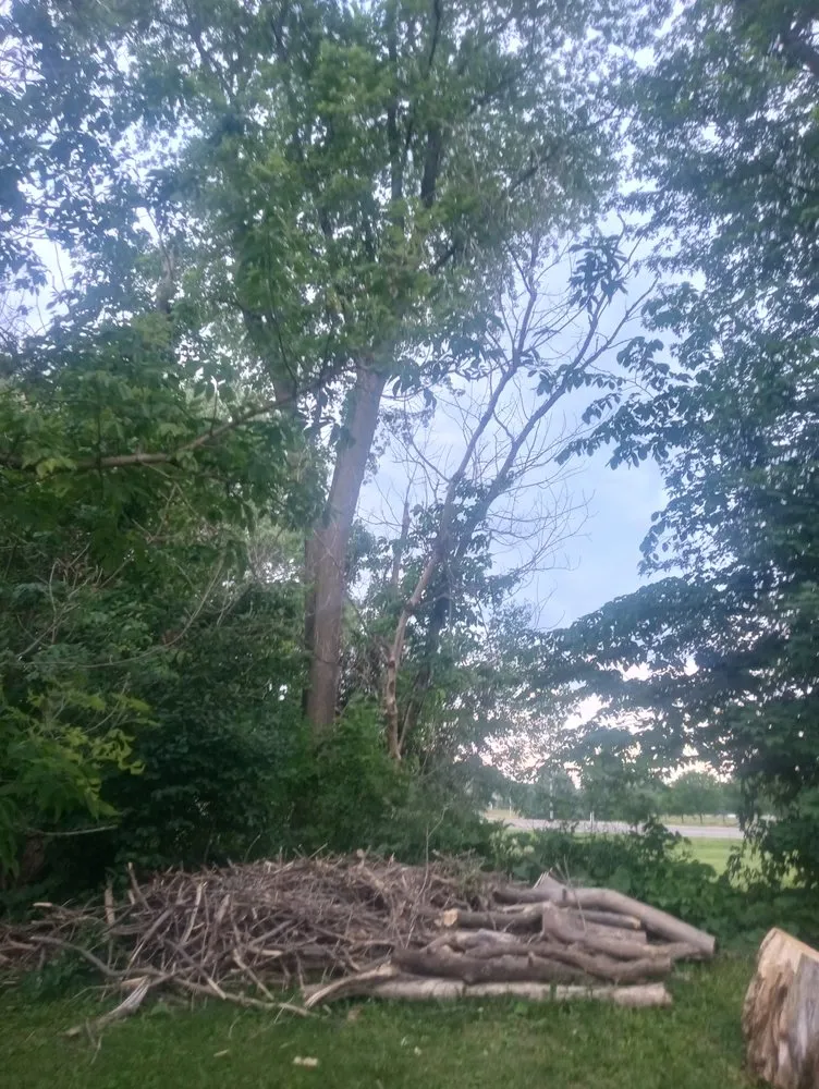 Trusted lawn care service experts serving Sterling, IL - Fresh Looks