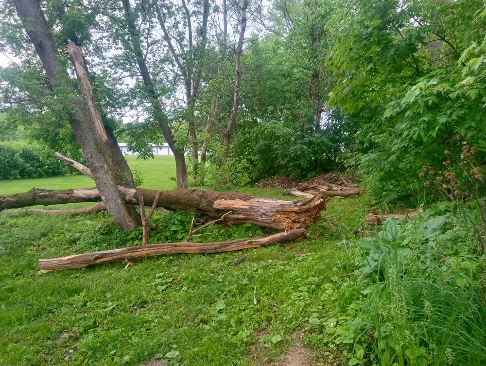 Affordable residential landscaping in Sterling, IL - Fresh Looks