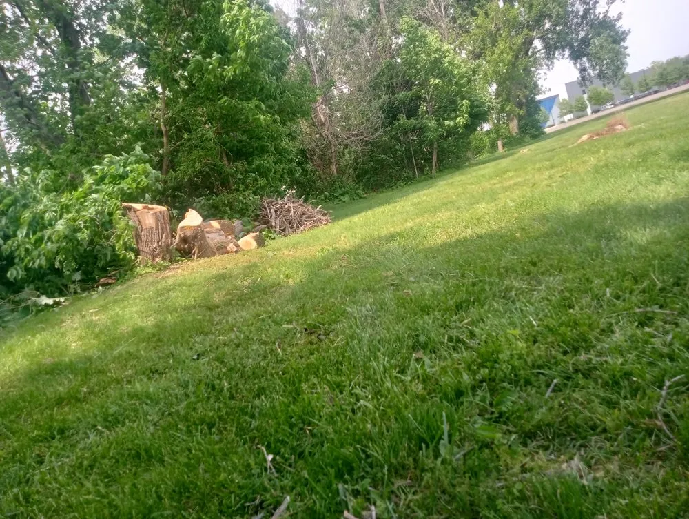 Expert yard cleanup service experts serving Sterling, IL - Fresh Looks