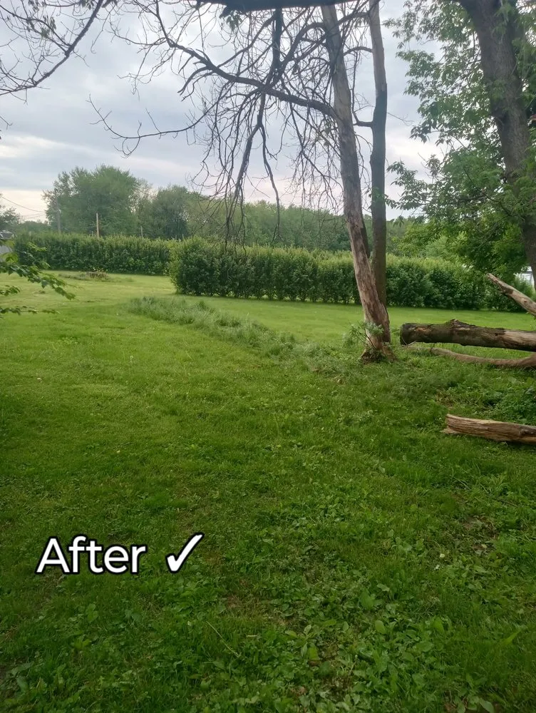Reliable lawn care service with custom design in Sterling, IL by Fresh Looks