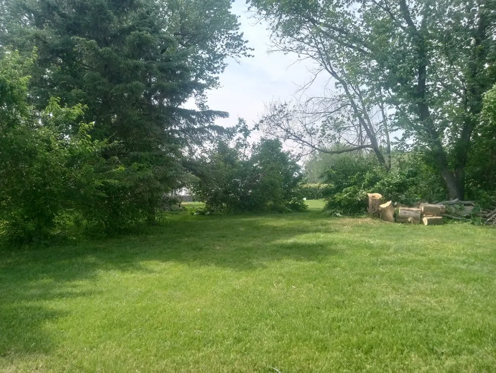 Reliable landscape design in Sterling, IL - Fresh Looks