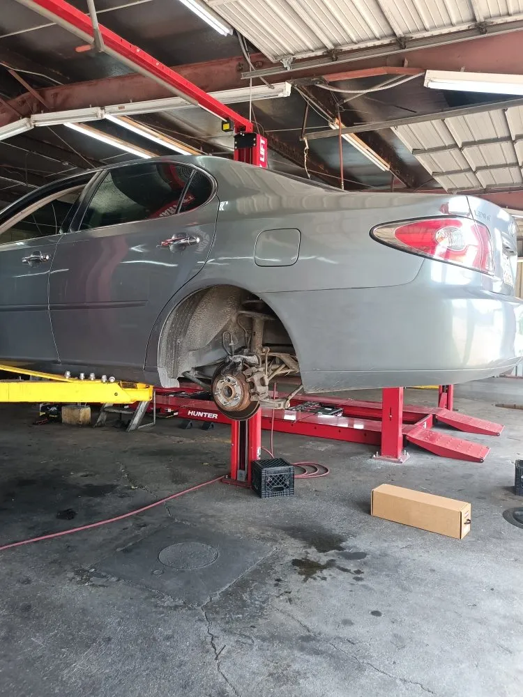 Affordable landscaping services experts serving Baton Rouge, LA - Fresh Maintenance