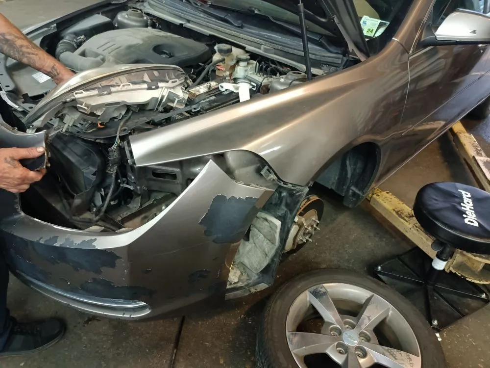 Reliable yard cleanup service in Baton Rouge, LA by Fresh Maintenance