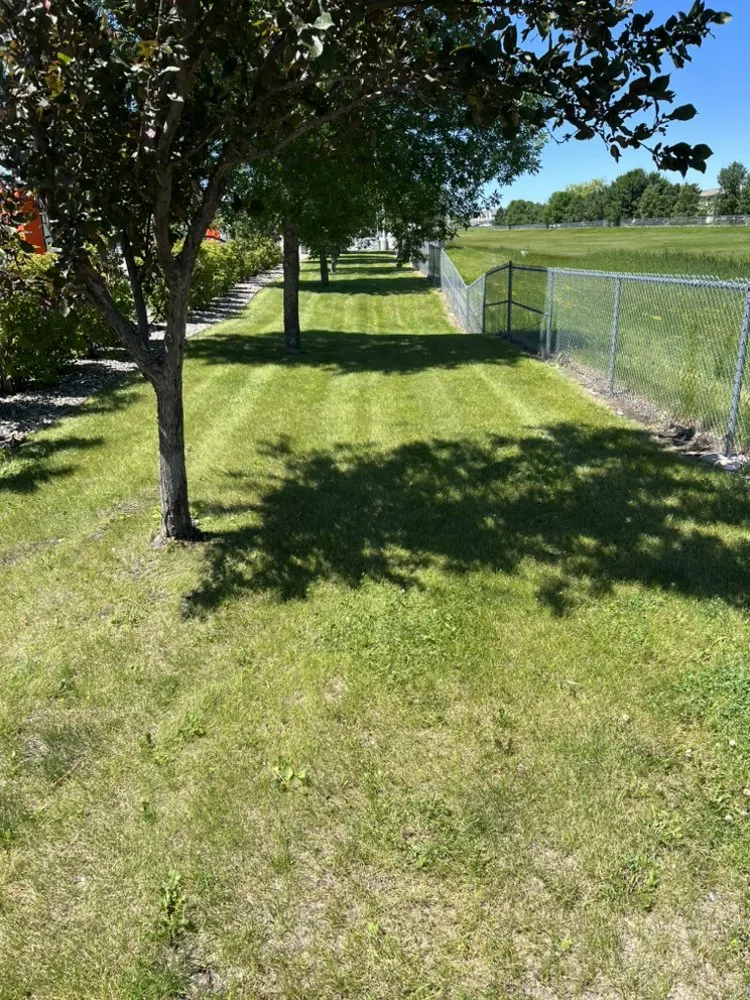 Expert landscaping services for year-round maintenance across Moorhead, MN - Fresh Mows Landscaping