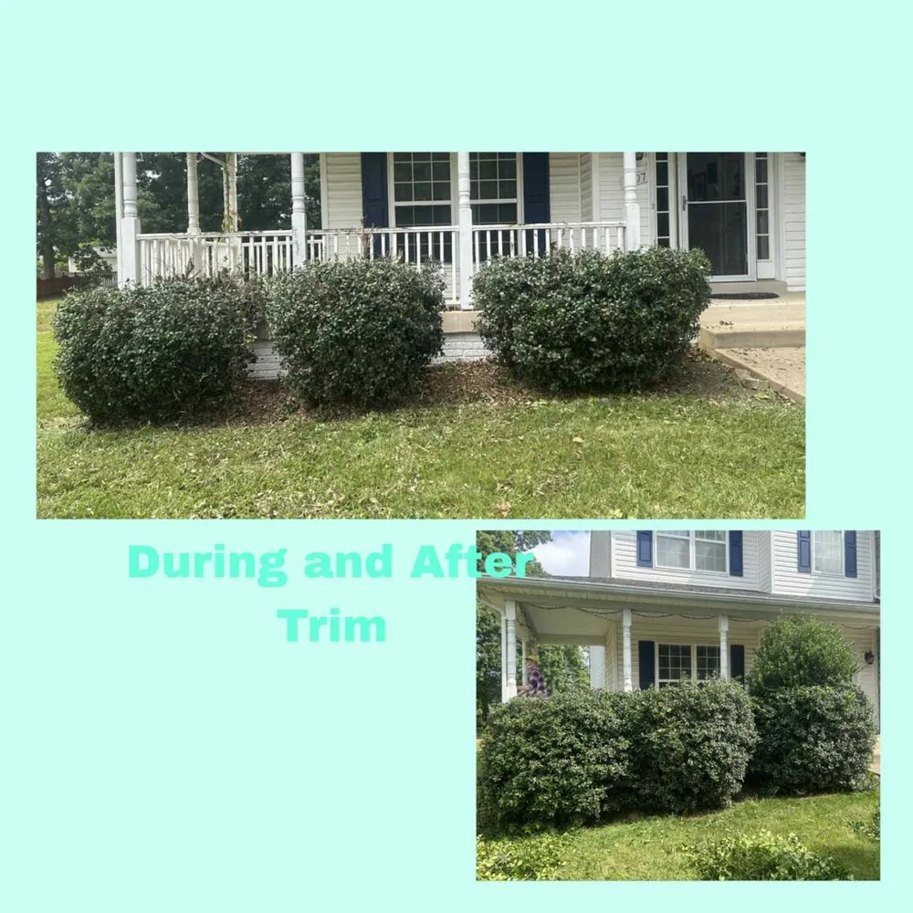 Top-rated landscaping services near you across Fredericksburg, VA - Fresh Roots by Emi and Ellie