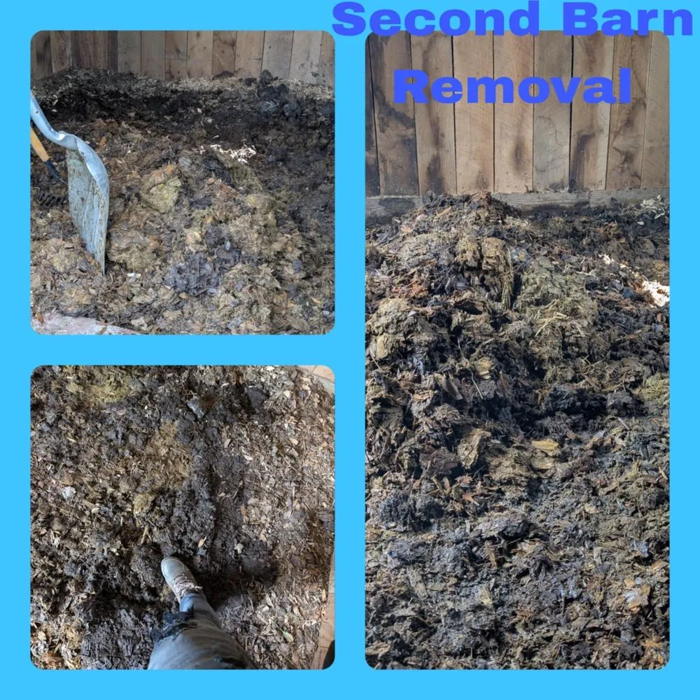 Affordable yard cleanup service for outdoor upgrades across Fredericksburg, VA - Fresh Roots by Emi and Ellie