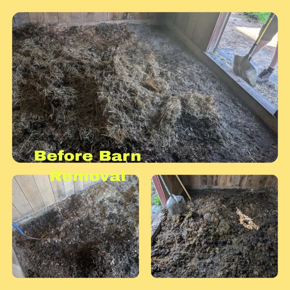 Professional landscape installation with custom design in Fredericksburg, VA by Fresh Roots by Emi and Ellie