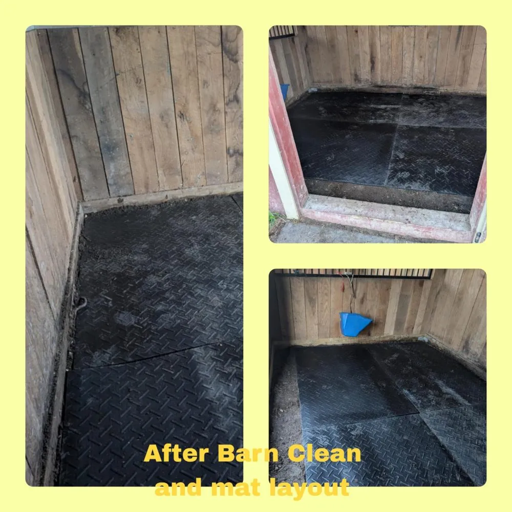 Professional lawn care service in Fredericksburg, VA - Fresh Roots by Emi and Ellie