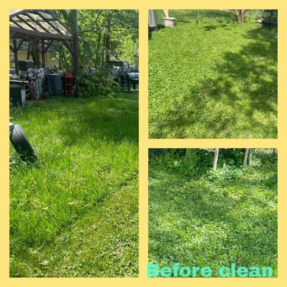 Local landscaping services in Fredericksburg, VA by Fresh Roots by Emi and Ellie