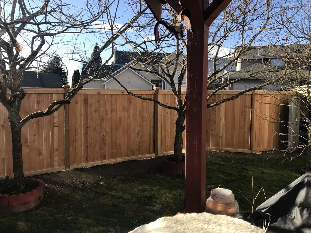Top-rated landscape installation for outdoor upgrades across Renton, WA - Fresh Roots Landscaping