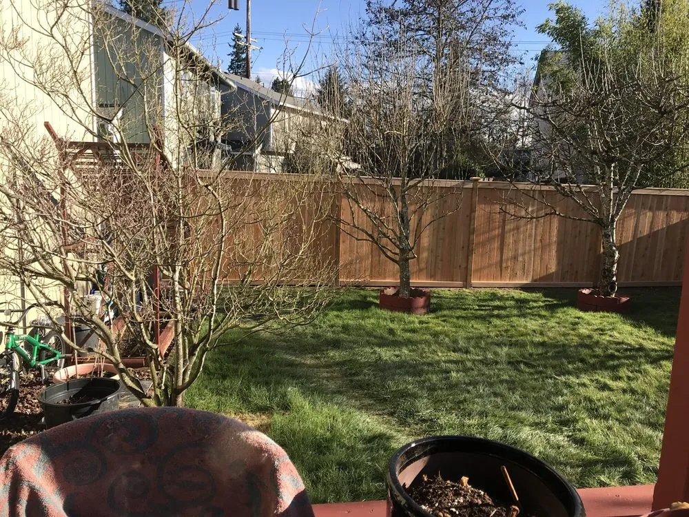 Trusted yard maintenance in Renton, WA by Fresh Roots Landscaping