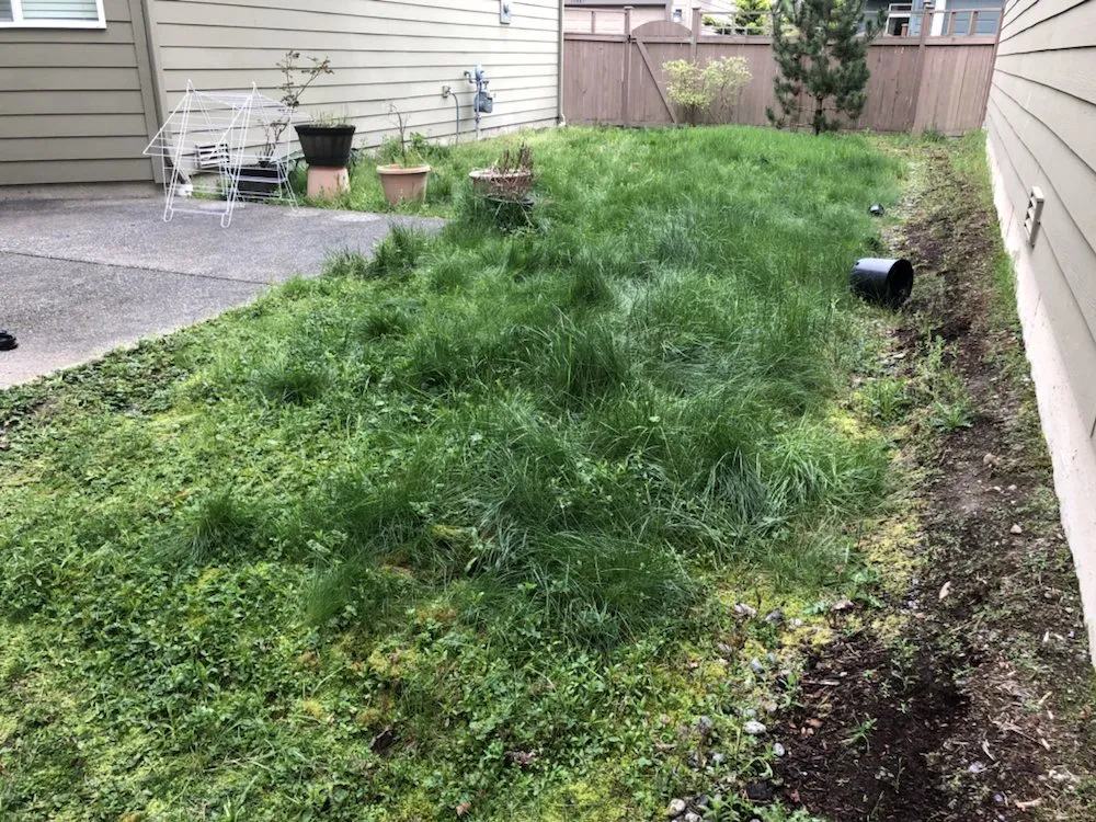Professional residential landscaping experts serving Renton, WA - Fresh Roots Landscaping
