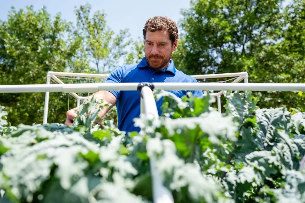 Top-rated residential landscaping for outdoor upgrades across Pewaukee, WI - Fresh Roots