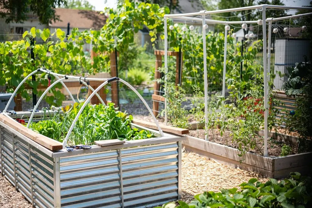 Expert lawn care service in Pewaukee, WI - Fresh Roots