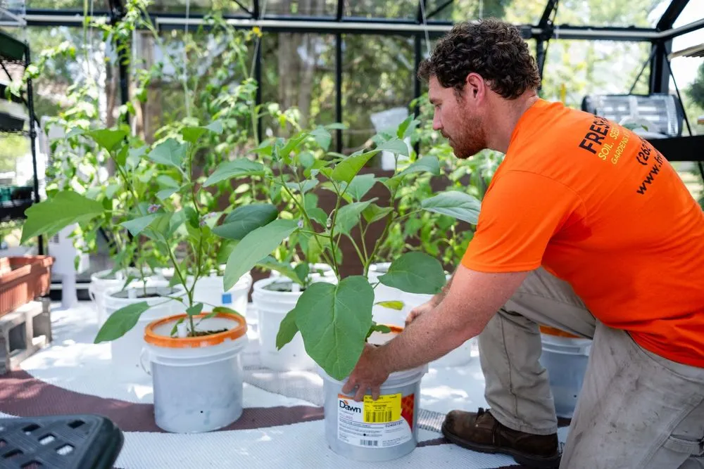 Affordable lawn mowing service experts serving Pewaukee, WI - Fresh Roots