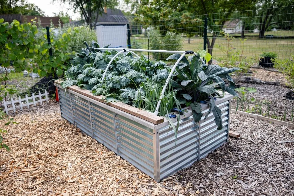 Reliable landscape installation in Pewaukee, WI - Fresh Roots