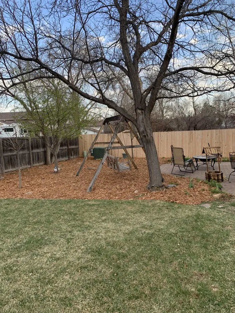Expert yard maintenance in Lakewood, CO - Fresh Space Landscape