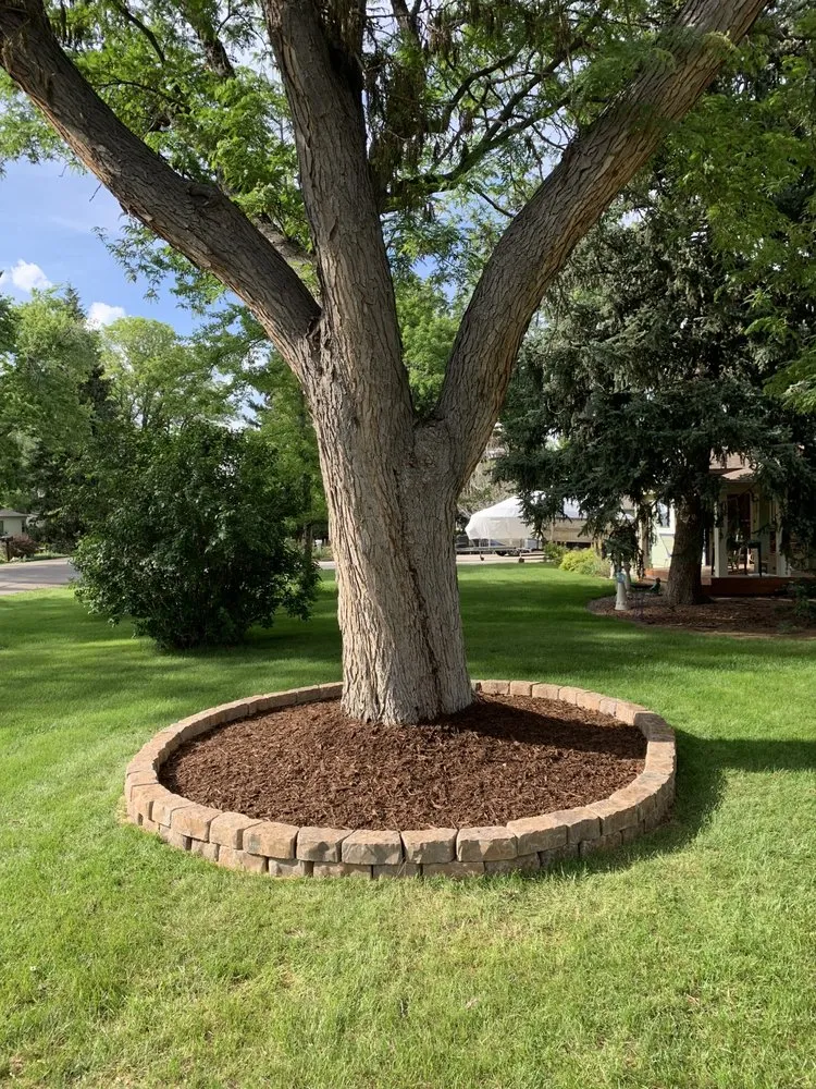 Custom yard maintenance in Lakewood, CO - Fresh Space Landscape