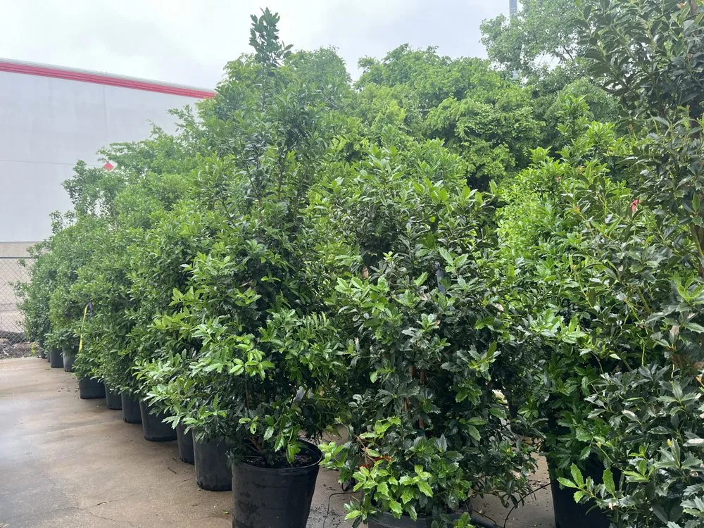 Top-rated landscape design with custom design in Bulverde, TX by Fresh Start