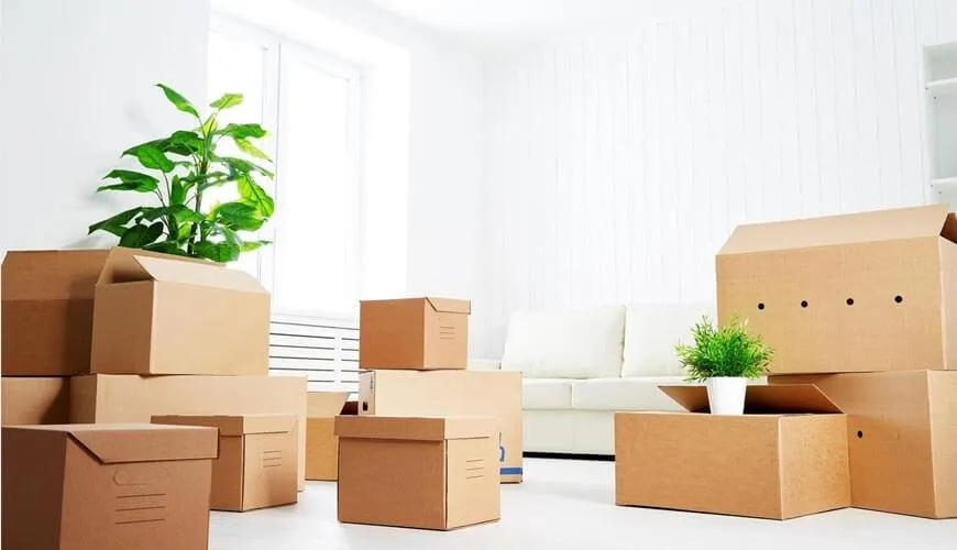 Custom residential landscaping near you in Arlington, TX by Fresh Start Foreclosure Cleaning