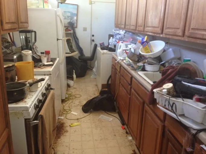 Custom outdoor landscaping in Arlington, TX - Fresh Start Foreclosure Cleaning