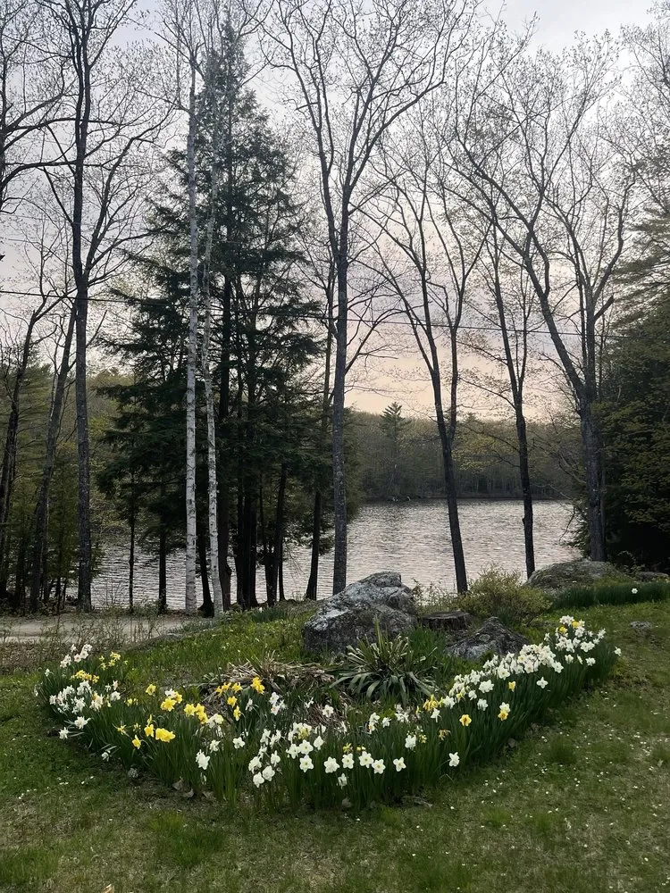 Local residential landscaping for beautiful yards across Auburn, ME - Fresh Start Landscape