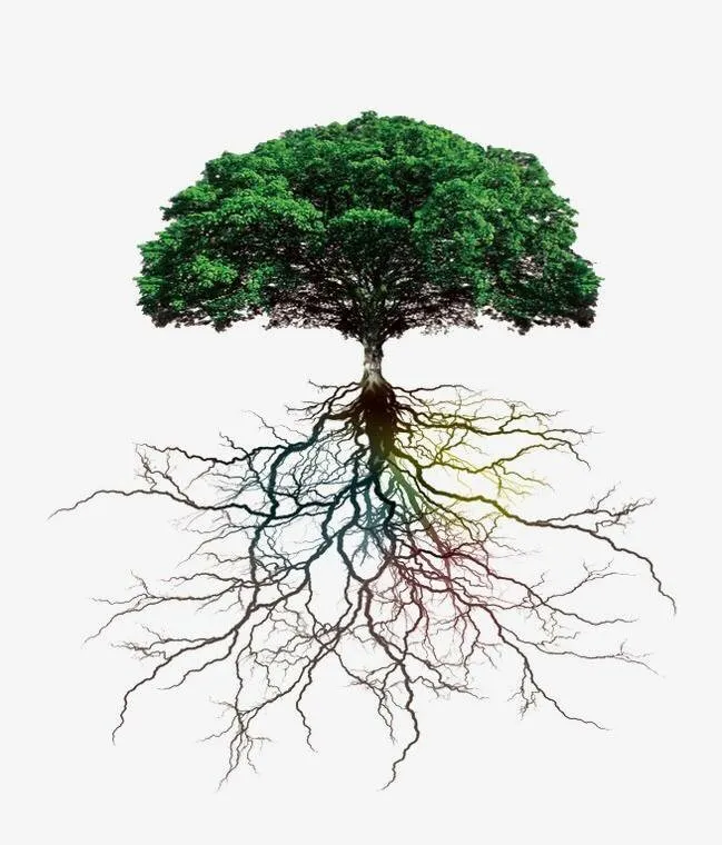 Local residential landscaping for residential properties in Auburn, ME by Fresh Start Landscape