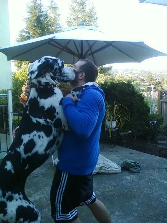 Trusted residential landscaping in Lynn, MA - Fresh Start Landscaping