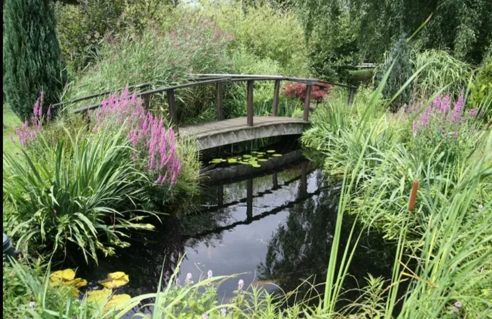 Top-rated lawn care service for outdoor upgrades across Stamford, CT - Fresh Start Landscaping