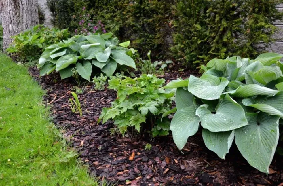 Reliable outdoor landscaping in Stamford, CT by Fresh Start Landscaping