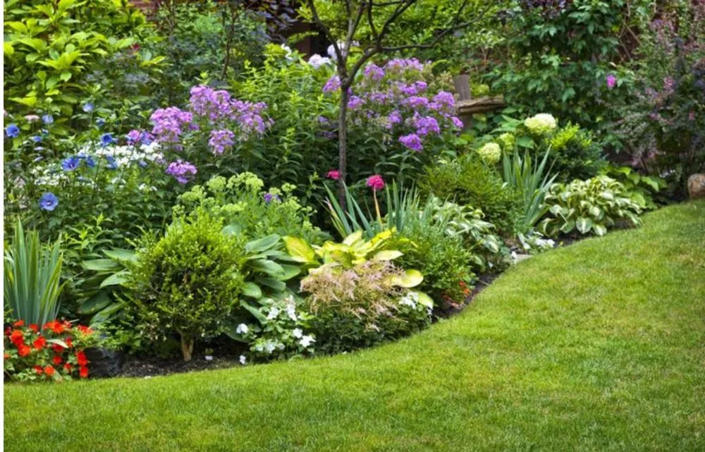 Professional yard maintenance for outdoor upgrades across Stamford, CT - Fresh Start Landscaping