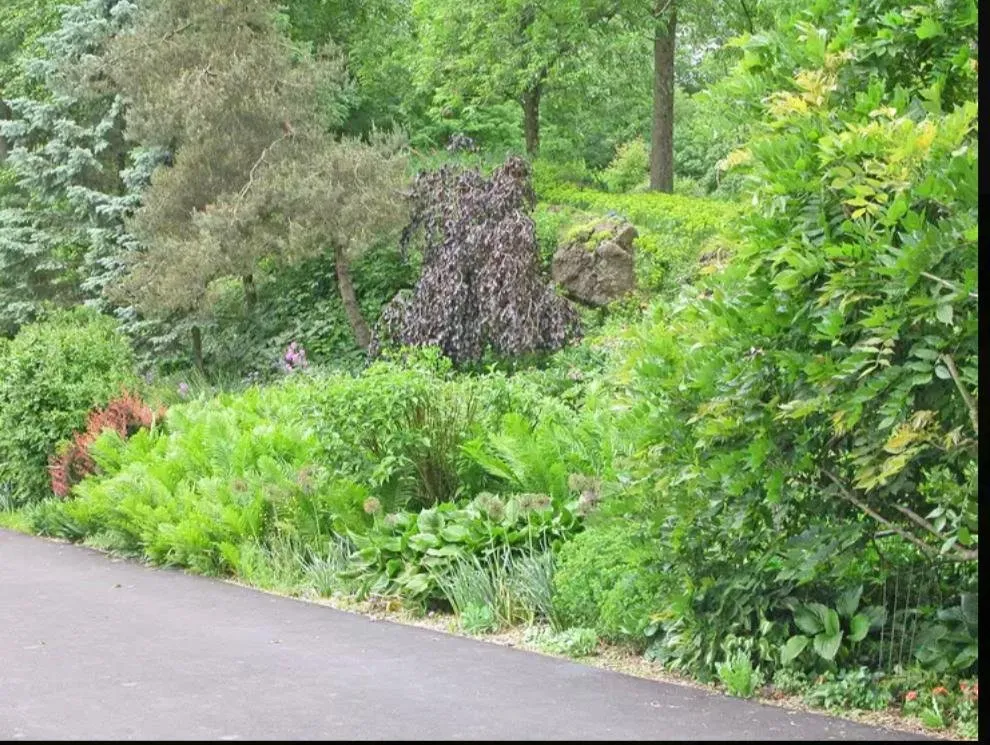 Professional landscape installation in Stamford, CT by Fresh Start Landscaping