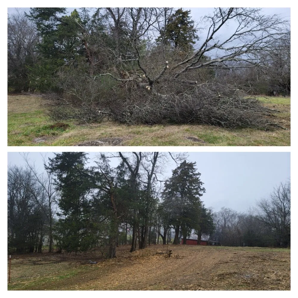 Local landscape design in Tullahoma, TN by Fresh Start Landworx