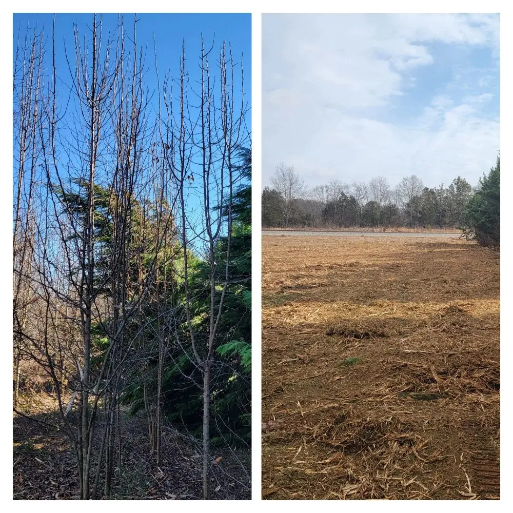 Affordable landscape installation experts serving Tullahoma, TN - Fresh Start Landworx