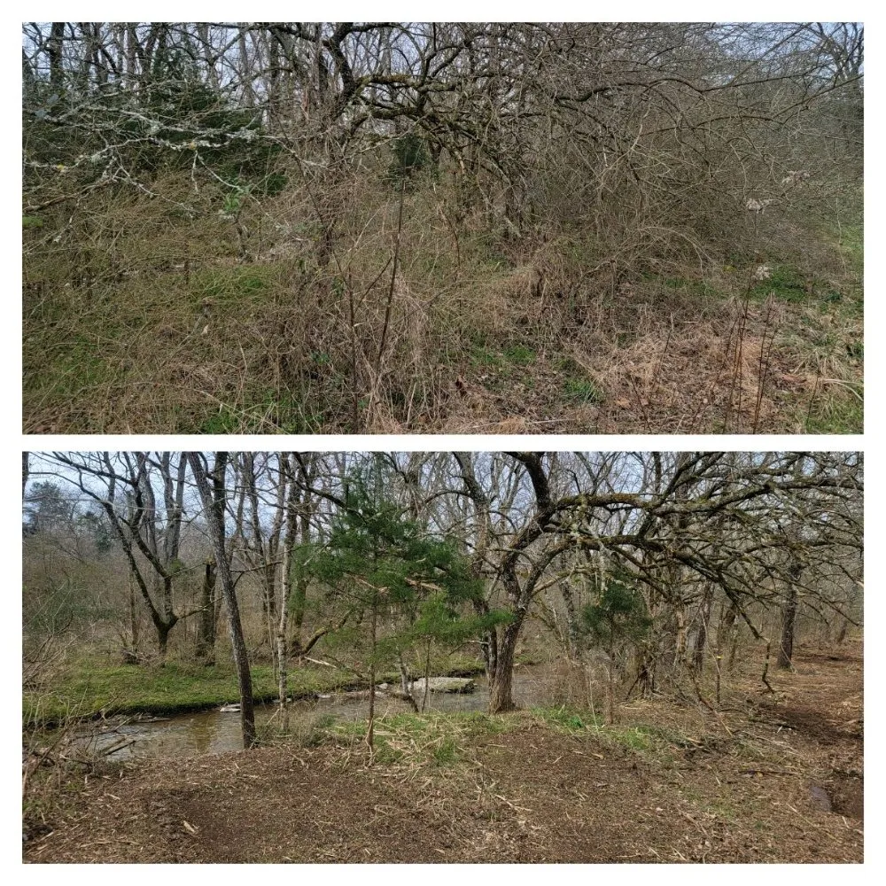 Expert lawn care service in Tullahoma, TN by Fresh Start Landworx